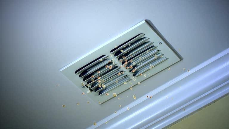 Best Ventilation Cleaning Services  in Hill City, KS